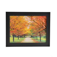 Witch 3D Holographic Painting 3 Images in 1 Picture Frame