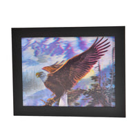 Witch 3D Holographic Painting 3 Images in 1 Picture Frame