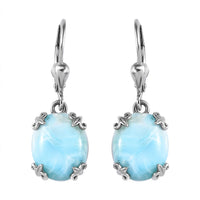 Larimar Lever Back Earring in Platinum Over Sterling Silver 11.85 ctw