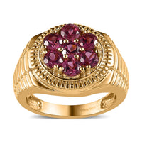 Tanzanian Rhodolite Garnet Men's Ring in Vermeil Yellow Gold Over Sterling Silver 2.30 ctw