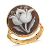 Cameo Tulip