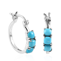 Sleeping Beauty Turquoise Hoop Earrings in Stainless Steel 1.85 ctw