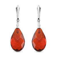 Baltic Honey Amber Leverback Earrings