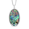 Abalone Shell