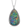 Abalone Shell
