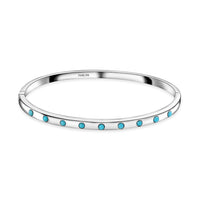 Sleeping Beauty Turquoise Bangle Bracelet in Stainless Steel (8.0 In) 0.60 ctw