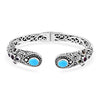 Sleeping Beauty Turquoise