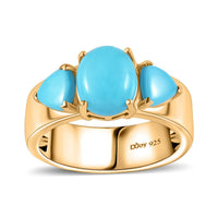 Sleeping Beauty Turquoise Ring in Vermeil YG Over Sterling Silver (Size 10.0) 3.15 ctw