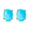 Sleeping Beauty Turquoise