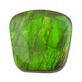 AAAA Canadian Ammolite (Free Free Size) 10.00 ctw - Sticky add to cart bar
