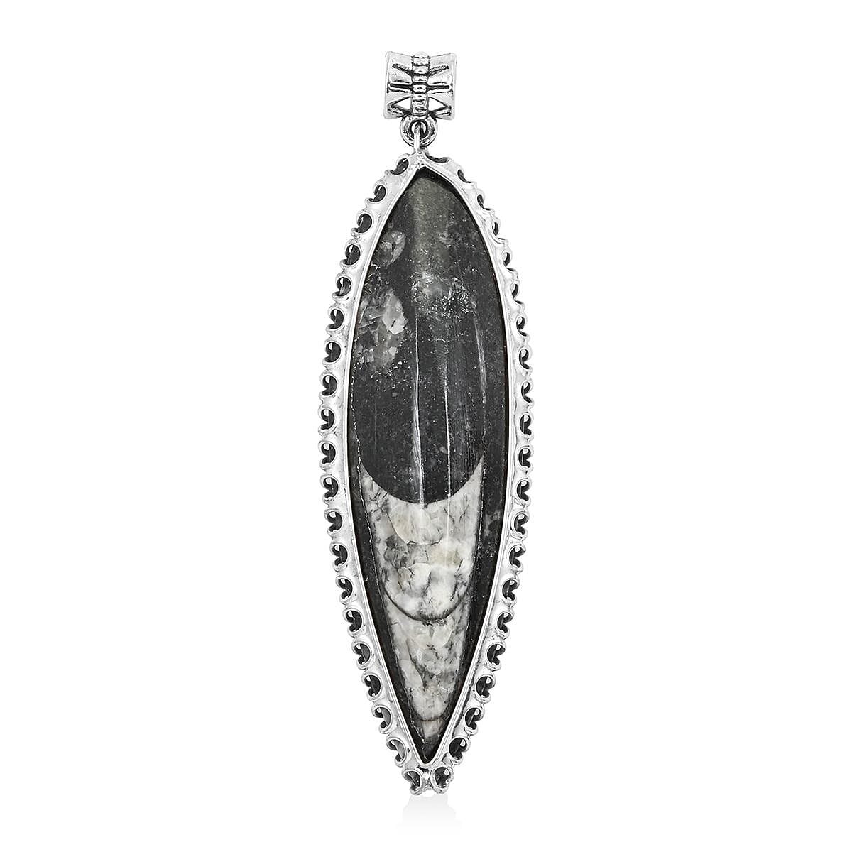 Black Orthoceras Large Pointed Pendant in Silvertone 48.25 ctw