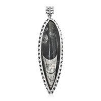 Black Orthoceras Large Pointed Pendant in Silvertone 48.25 ctw