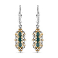 Premium Grandidierite Lever Back Earrings in Vermeil YG and Platinum Over Sterling Silver 1.15 ctw - Sticky add to cart bar