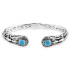 Sleeping Beauty Turquoise