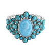 Sleeping Beauty Howlite