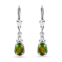 Canadian Ammolite Lever Back Earrings in Platinum Over Sterling Silver