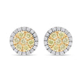 Luxoro 10K Yellow Gold Natural Yellow and White Diamond I2-I3 Stud Earrings 0.50 ctw - Sticky add to cart bar