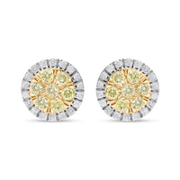 Luxoro 10K Yellow Gold Natural Yellow and White Diamond I2-I3 Stud Earrings 0.50 ctw