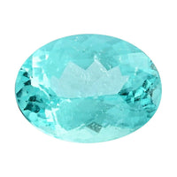 Certified & Appraised AAAA Paraiba Tourmaline (Ovl Free Size) 1.40 ctw