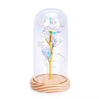 Clear Rose Decoration with Light in Transparent (8.7"xX3.54x4.3")