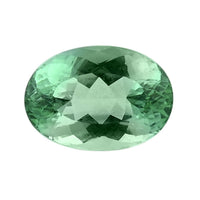 AAAA Paraiba Tourmaline (Oval Free Size) 1.00 ctw
