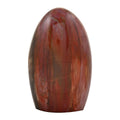 Petrified Wood Free Form -S 1823.5ctw - Sticky add to cart bar