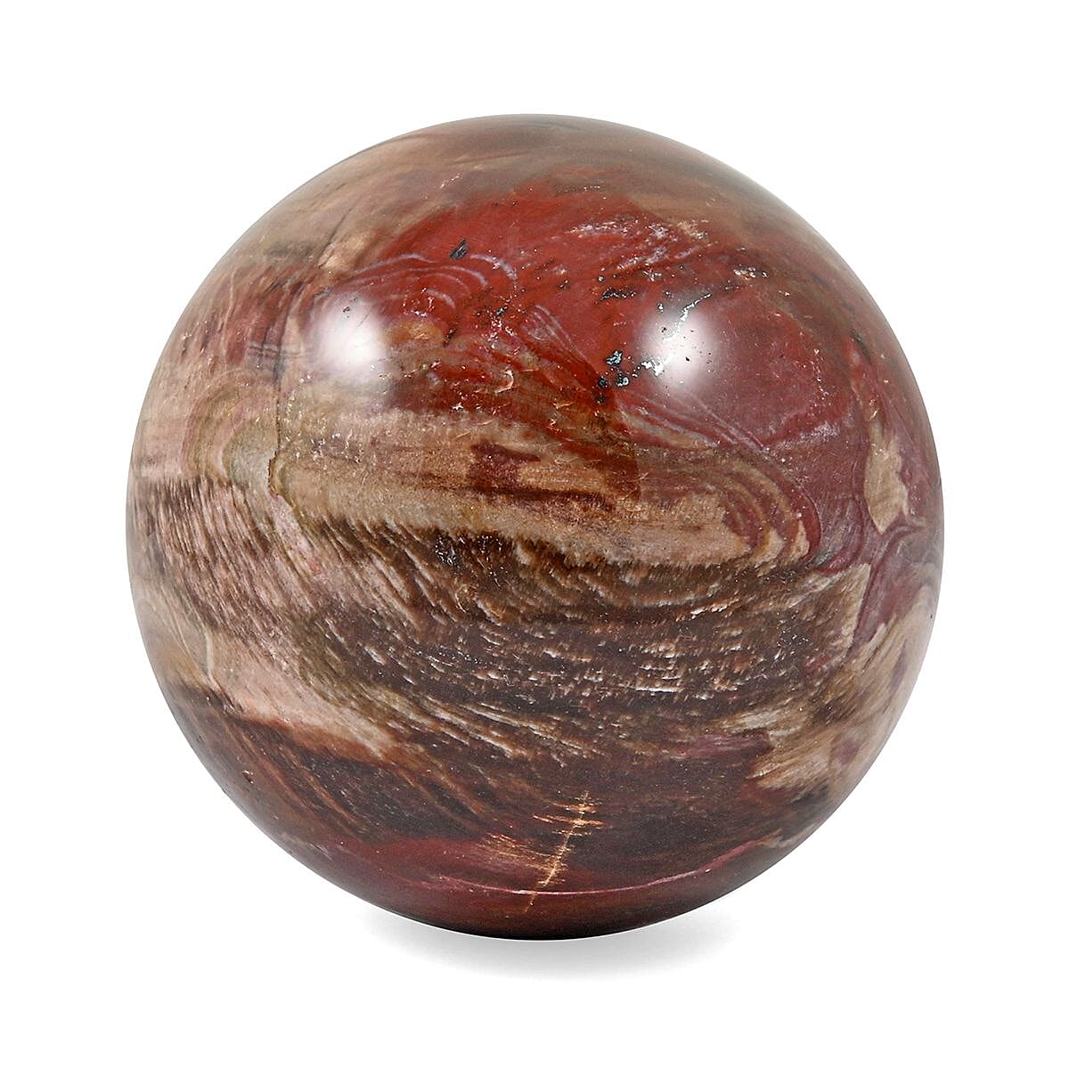 Petrified Wood Sphere 5-8cm -S 1224.5ctw