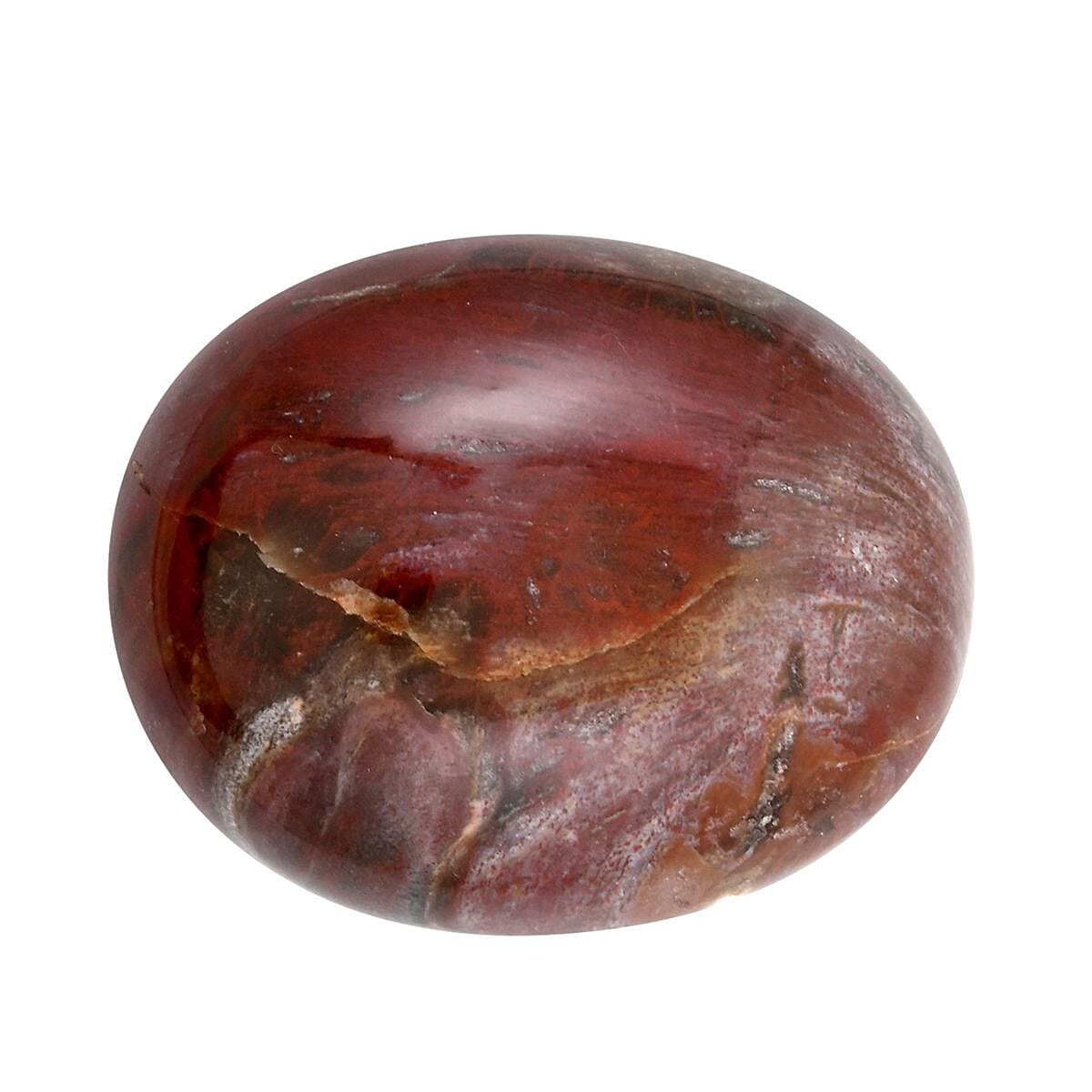 Petrified Wood Palm Stone -M 349.5ctw