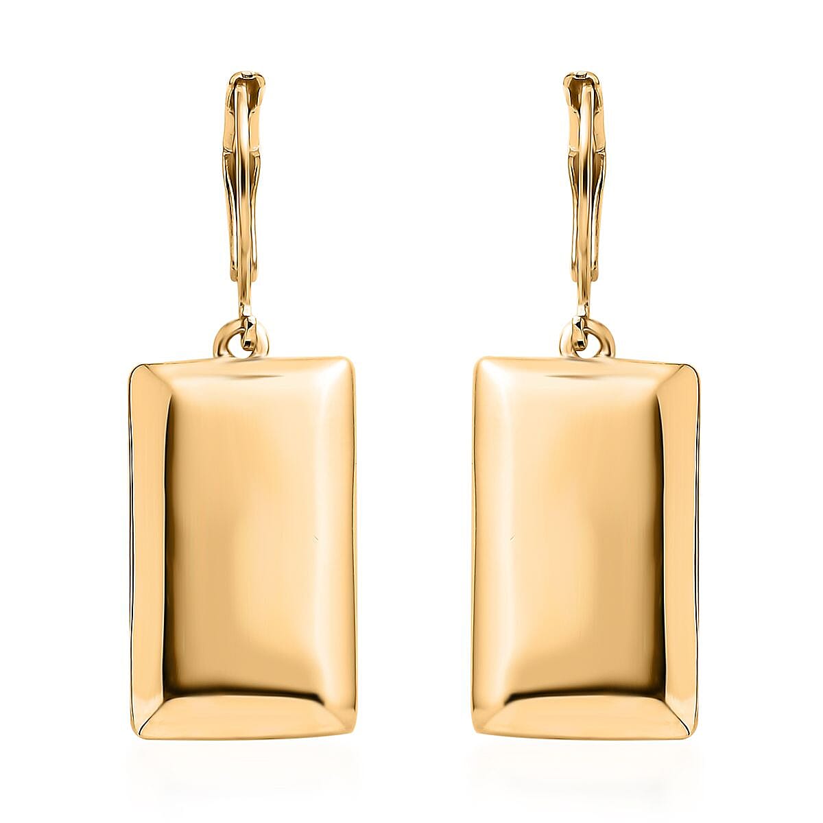 Lever Back Earrings in 18K YG Plated Stainless Steel