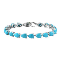 Sleeping Beauty Turquoise, Multi Gemstone Bracelet in Rhodium Over Sterling Silver (7.25 In) 20.10 ctw