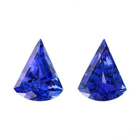 Certified & Appraised AAAA Tanzanite Set of 2 (Fancy 17x13.5 mm) 19.25 ctw