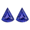 Certified & Appraised AAAA Tanzanite Set of 2 (Fancy 16.2X13.7 mm) 16.00 ctw - Sticky add to cart bar