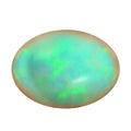 Collectors Choice Certified & Appraised AAAA Ethiopian Welo Opal (Ovl Free Size) 13.00 ctw - Sticky add to cart bar