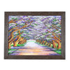 Beautiful Path Shaded By Trees