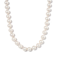 White Shell Pearl 11-13mm Necklace (20 Inches) in Stainless Steel