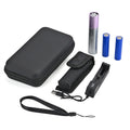 Therabliss Red Light Physiotherapy Flashlight - Silver with Purple (2200 mAh Battery Included) - Sticky add to cart bar