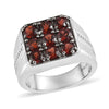 Mozambique Garnet