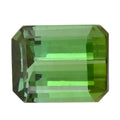 AAAA Green Tourmaline (Oct Free Size) 3.00 ctw - Sticky add to cart bar
