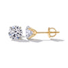 10K Yellow Gold