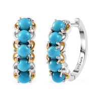 Karis Premium Sleeping Beauty Turquoise 2.86 ctw Hoop Earrings in 14K YG Plated and Platinum Bond