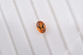 AA Santa Ana Madeira Citrine (Ovl 6x4 mm) 0.38 ctw with Loose Gemstone - Sticky add to cart bar