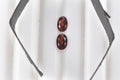 Set of 2 AA Mozambique Garnet (Oval 6x4 mm) 1.01 ctw Loose Gemstone - Sticky add to cart bar