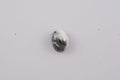 White Buffalo (Oval 7x5 mm) 0.74 ctw Loose Gemstone - Sticky add to cart bar