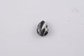 White Buffalo (Pear 7x5 mm) 0.65 ctw Loose Gemstone - Sticky add to cart bar