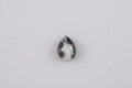 White Buffalo (Pear 9x7 mm) 1.51 ctw Loose Gemstone - Sticky add to cart bar