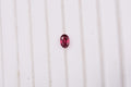Tanzanian Wine Garnet (Oval 6x4 mm) 0.58 ctw Loose Gemstone - Sticky add to cart bar