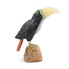 Toucan