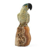 Carved Parrot