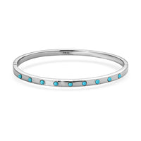 Sleeping Beauty Turquoise 0.50 ctw Bangle Bracelet in Stainless Steel