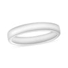 10K White Gold